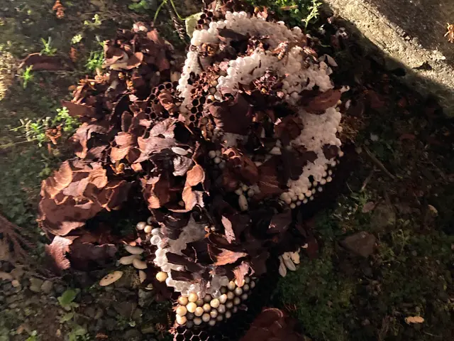 【当日対応OK】【再発報告0%の実績！】プロに任せて安心安全◎1週間補償付きサービスの画像