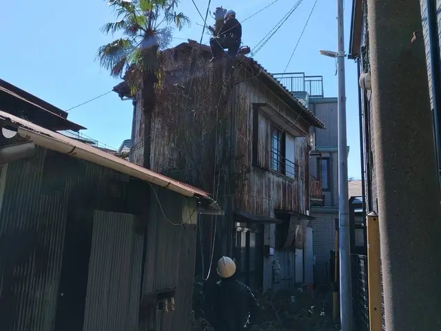 どんなに大きい木でも伐採可能！！まずはお問い合わせください！！サービスの画像