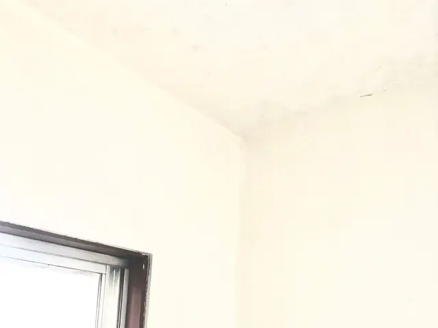 お風呂、換気扇、キッチンのクリーニングはお任せ下さい。誠心誠意対応！口コミ参考！サービスの画像