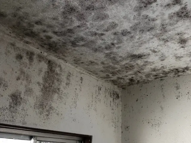 お風呂、換気扇、キッチンのクリーニングはお任せ下さい。誠心誠意対応！口コミ参考！サービスの画像