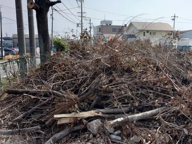 伐採抜根は見積り依頼お願いします。経験と知識を活かして迅速丁寧に作業いたしますサービスの画像