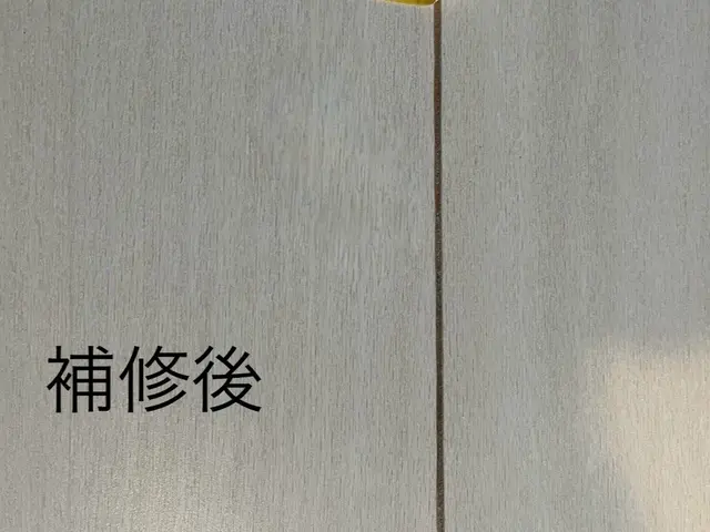 【交換費用の1/10】新品同様再生！あらゆる箇所の修繕に幅広く対応！サービスの画像