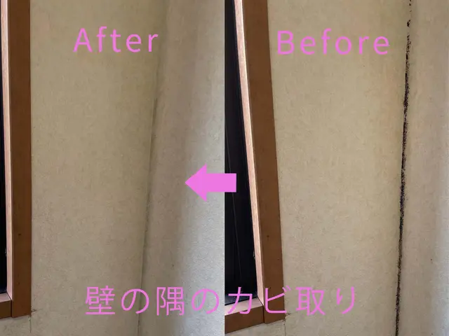 ◇汚れ（カビ・手垢・油）スッキリ壁紙清掃◇日本橋兜町の会社◇各種雑誌掲載サービスの画像
