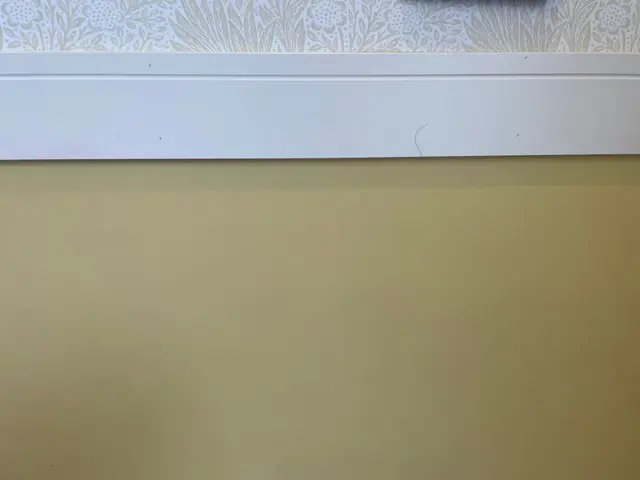 ◇汚れ（カビ・手垢・油）スッキリ壁紙清掃◇日本橋兜町の会社◇各種雑誌掲載サービスの画像