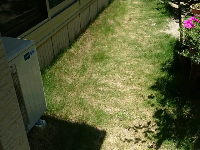 ★草刈り、芝刈り作業★夏に伸び過ぎて困ったお助け隊(^o^ゞサービスの画像