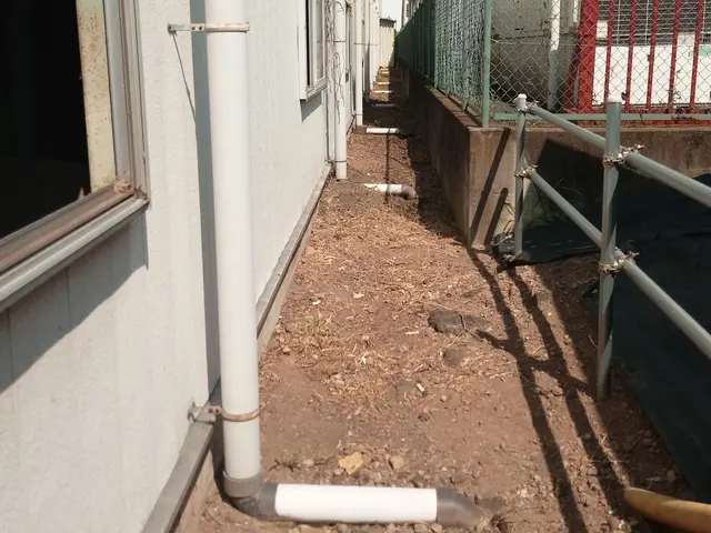 【つた除去】群馬県内指定地域密着！作業外注一切なし！サービスの画像