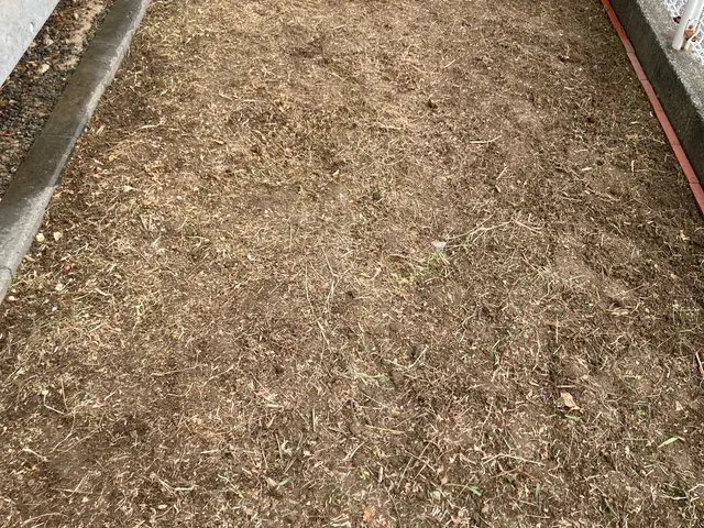 雑草処理、草刈りサービスの画像