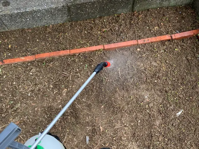 雑草処理、草刈りサービスの画像