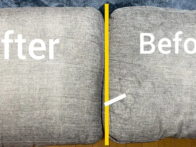 キレイで清潔なソファーで毎日安心！急なトラブルにも対応。サービスの画像