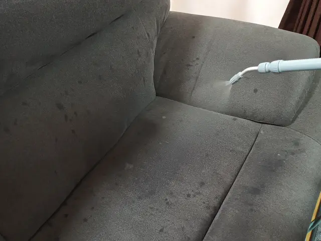 キレイで清潔なソファーで毎日安心！急なトラブルにも対応。サービスの画像