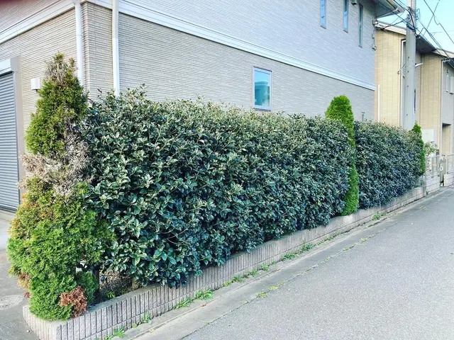 【業歴10年以上の経験と実績】年中無休！作業外注なし・自社スタッフが作業！サービスの画像