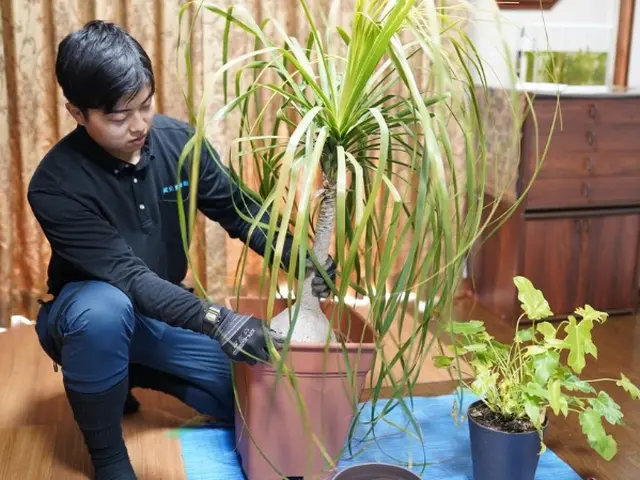 梶山庭苑 ◆植木・庭木の植え替え◆種類に応じて適切に植え替えいたします！！サービスの画像