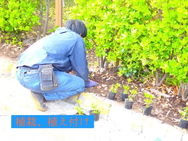 梶山庭苑 ◆植木・庭木の植え替え◆種類に応じて適切に植え替えいたします！！サービスの画像