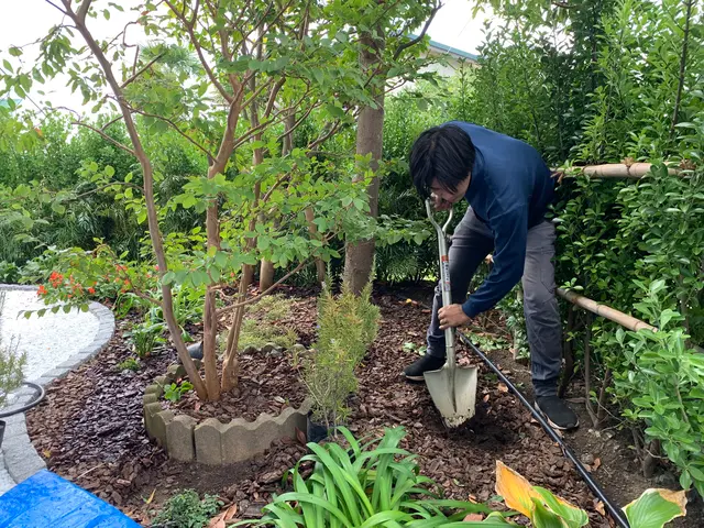 梶山庭苑 ◆植木・庭木の植え替え◆種類に応じて適切に植え替えいたします！！サービスの画像