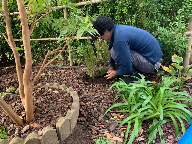 梶山庭苑 ◆植木・庭木の植え替え◆種類に応じて適切に植え替えいたします！！サービスの画像