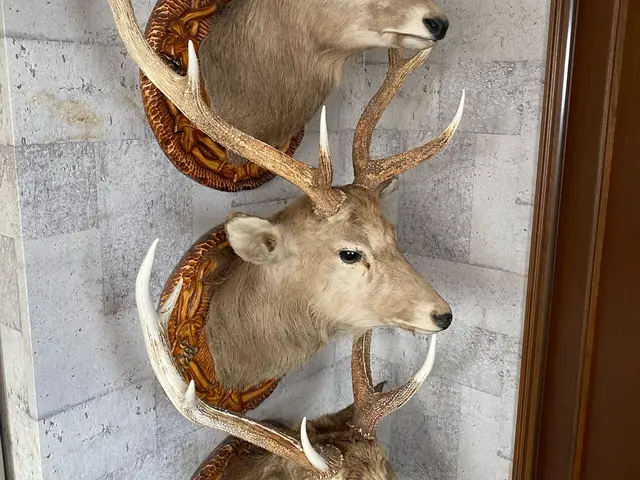 小物から大型家財まで1点からでも回収！家財運搬のプロが丁寧に対応！事前見積無料サービスの画像