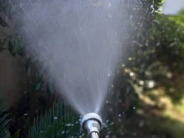 イラガ虫、チャドクガ駆除サービスの画像