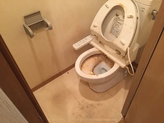 トイレのお掃除サービスの画像