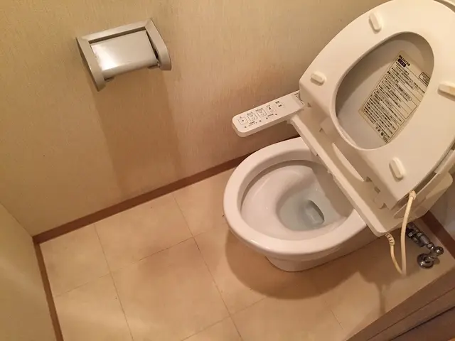 トイレのお掃除サービスの画像