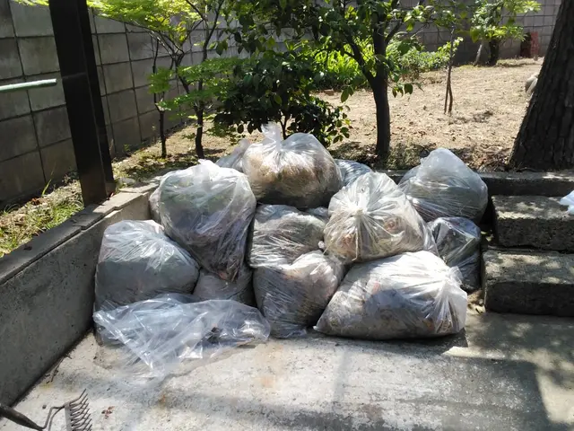 草むしり手作業サービスの画像