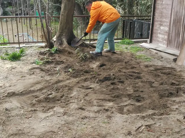 草むしり手作業サービスの画像