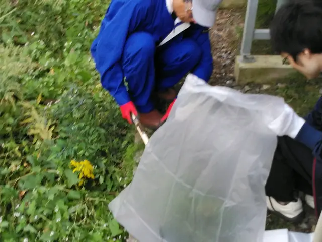 草むしり手作業サービスの画像