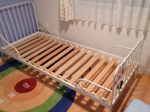 ★大阪発◎2名作業◎家電家具の運搬◎取り外し設置と分解組み立て可能ですサービスの画像