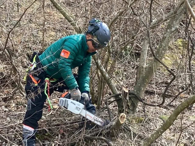 【庭木の伐採・特殊伐採】駐車場代当店負担！営業時間外・対応地域外でもご相談歓迎！サービスの画像
