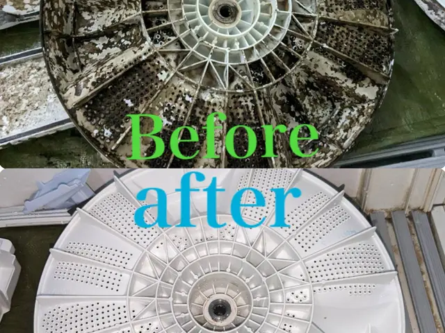 【3度テレビ出演】◇犬猫大歓迎◇全機種対応！BeforeAfter見せます！サービスの画像