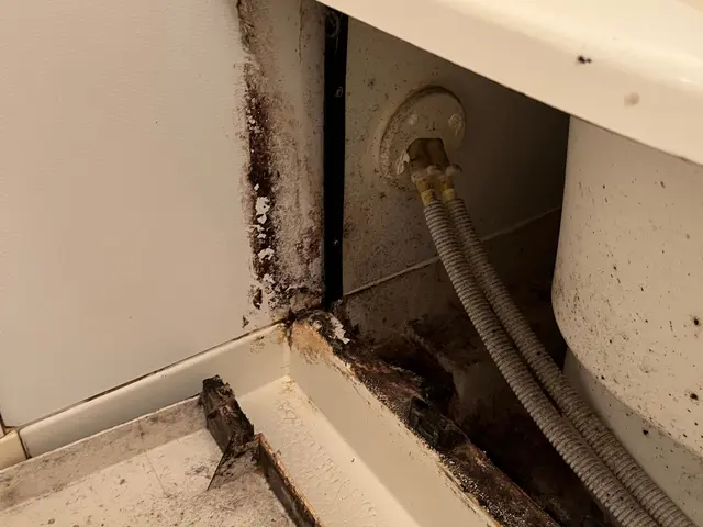 ◎安心・安全。身体に負担の少ない洗剤使用◎大手業務経験あり◎損害保険加入サービスの画像