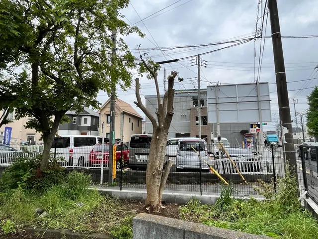 明るく誠実な庭木剪定｜細かくご要望をお伺いしますサービスの画像