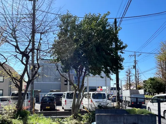 明るく誠実な庭木剪定｜細かくご要望をお伺いしますサービスの画像