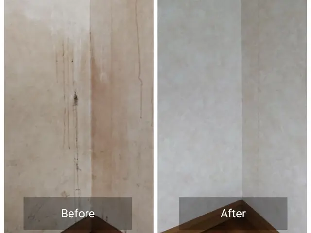 【大好評】シミ・ヤニ・カビはチタンコートで新品並みに回復♪ オプションで提供中♬サービスの画像