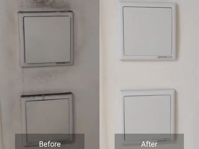 【大好評】シミ・ヤニ・カビはチタンコートで新品並みに回復♪ オプションで提供中♬サービスの画像