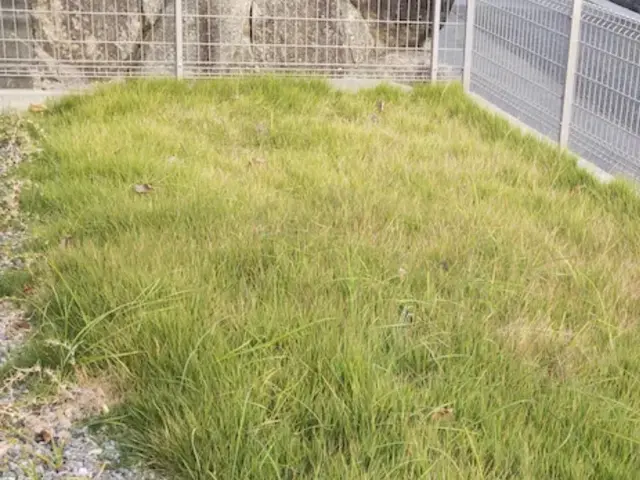 【業歴15年の経験と実績】作業外注なし全て自社施工！アフターフォローも万全サービスの画像