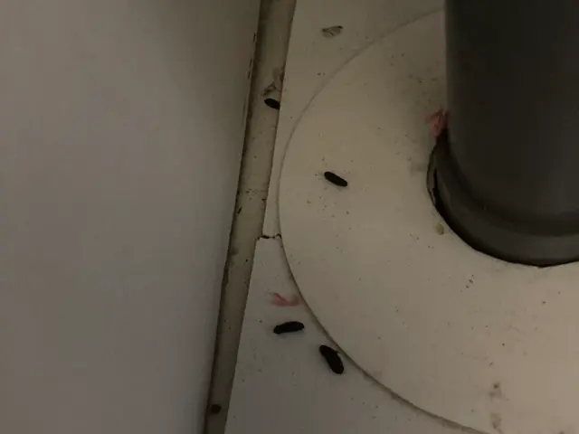 【365日24時間営業中！】駐車料金、駐車場代全てコミコミ責任を持ってご対応！サービスの画像