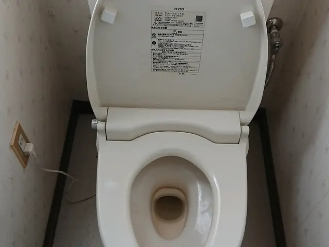 この機会にトイレクリーニングを！サービスの画像