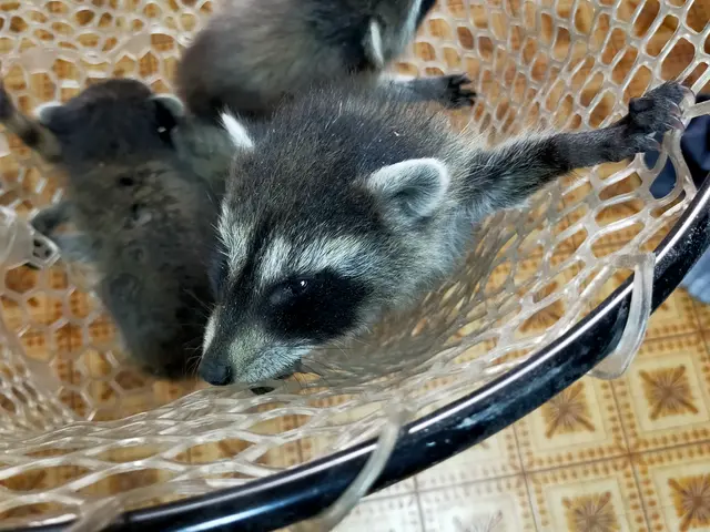 【群馬県ねずみ昆虫等防除業登録者です】防除監督資格保有！㈱住環にお任せください！サービスの画像