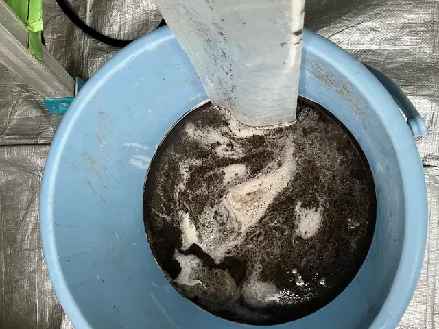 防カビコート無料キャンペーン中！見えない汚れを徹底洗浄しませんか？サービスの画像