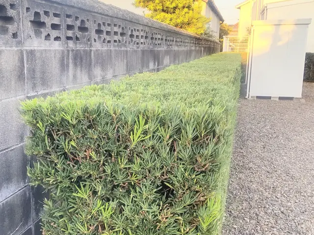 ◎プロの技術でご満足いただけるように心を込めて作業いたしますサービスの画像