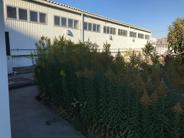 ＜損害保険加入済み◎＞笑顔、丁寧をモットーに作業させていただきます！サービスの画像