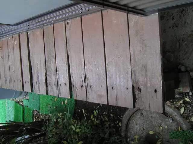 【祝！新規出店】〇プロの技術と仕上がり〇複数本割引その他割引ありサービスの画像