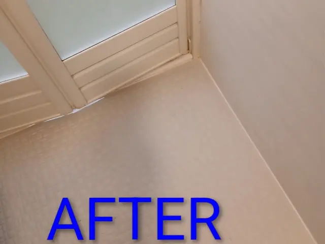 あなたの「大掃除を助けたい！」今年のうちにスッキリ綺麗にしちゃいましょ♪サービスの画像