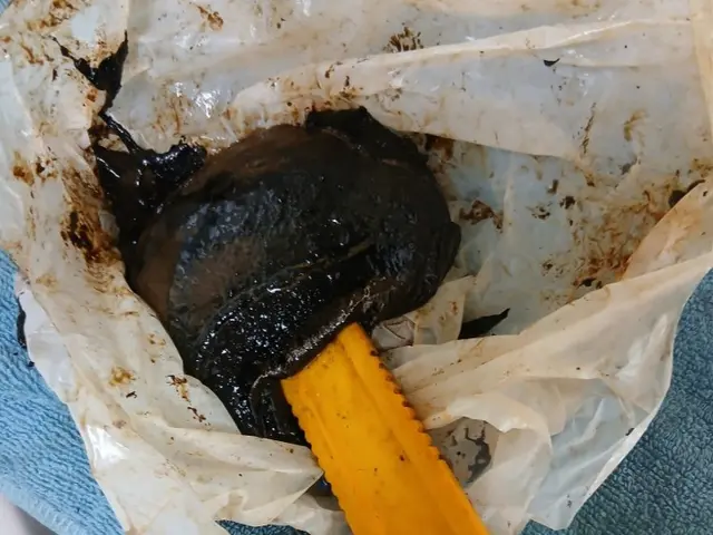 新年、1月は気持ちよくスタートしたい♪大掃除できなかった所は私にお任せください！サービスの画像