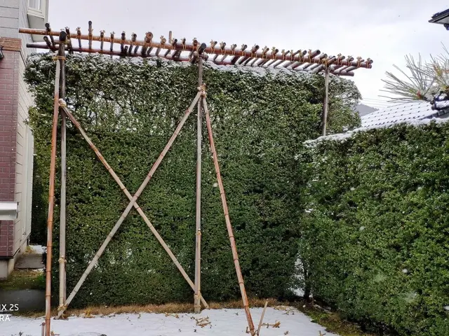 庭木の雪吊り、雪囲いサービスの画像