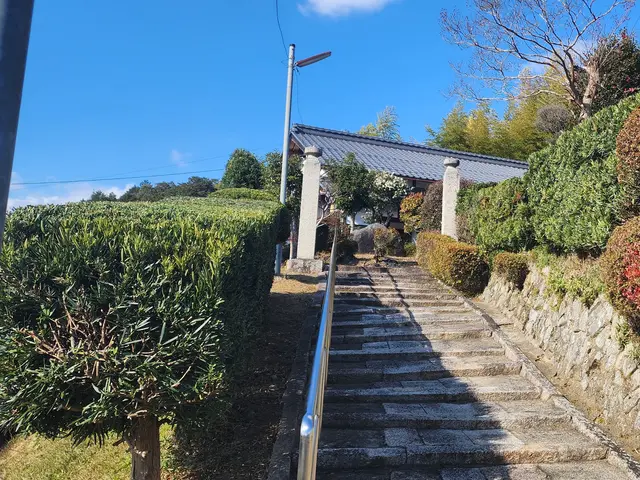 生垣の剪定サービスの画像