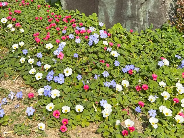 お客様のお力になります！経験と知識を活かして迅速丁寧に作業いたしますサービスの画像