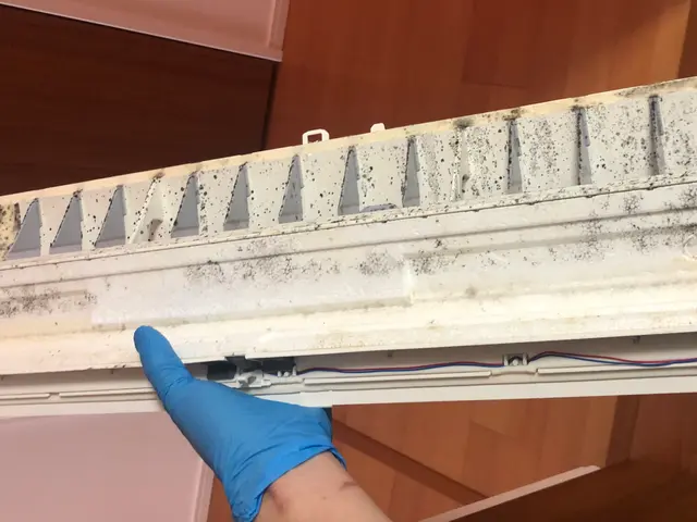 分解洗浄で綺麗にします！！電気工事資格保有+メーカー勤務の私がお伺いします！！サービスの画像