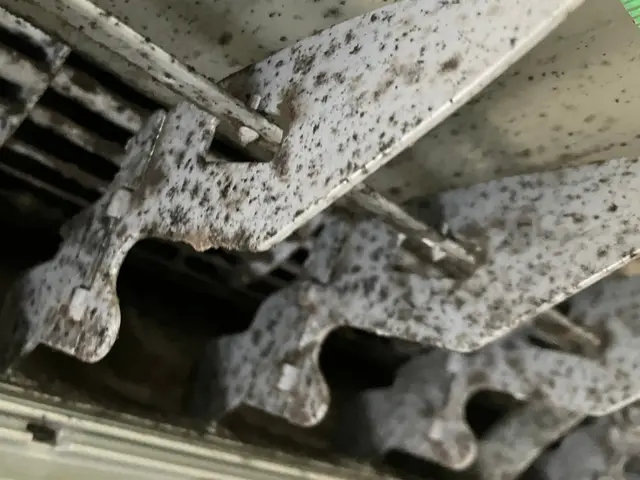 壁掛けエアコンクリーニングサービスの画像