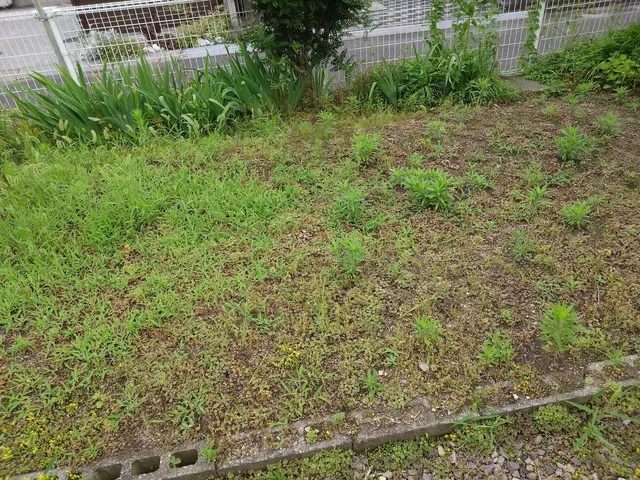 プロの技術でご満足いただけるように心を込めて作業いたしますサービスの画像